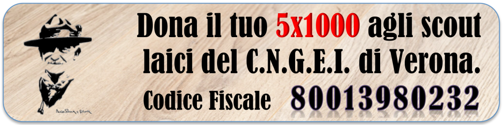 C.N.G.E.I. - Sezione di Verona C.N.G.E.I. - Sezione di Verona